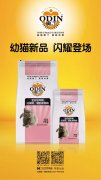 奧丁精品幼貓糧閃耀登場(chǎng)！??！
