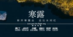 寒露丨露寒萬物，寵暖人心