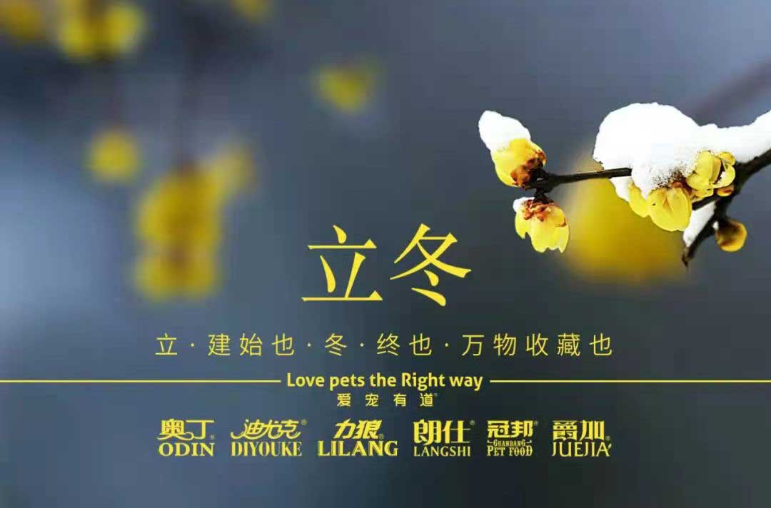 立冬丨冬寒初始，情暖愈濃